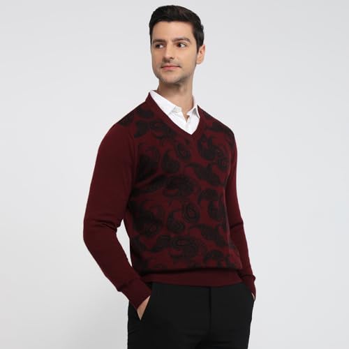 Colorplus Men Regular Fit Jacquard Pattern Merino Wool Acrylic Blend Full Sleeve V Neck Casual Sweater Brown