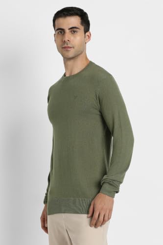American Eagle Men Green Crew Neck Sweater