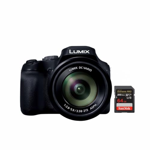Panasonic LUMIX FZ80D 20 to 1200mm Zoom Lens Point and Shoot Compact Camera (Black) Bundle with 64GB Extreme Pro SDXC UHS-I Memory Card (2 Items)