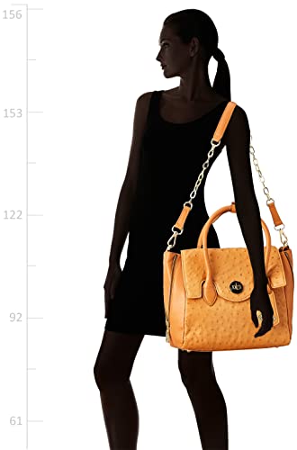 Hidesign Women's Satchel (Bronze)