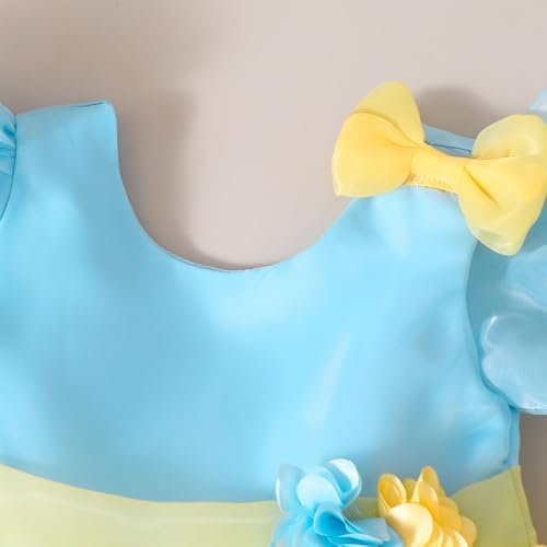Hopscotch Girls Yellow Short Sleeves Floral Applique Party Dress for Age (18-24 Months)