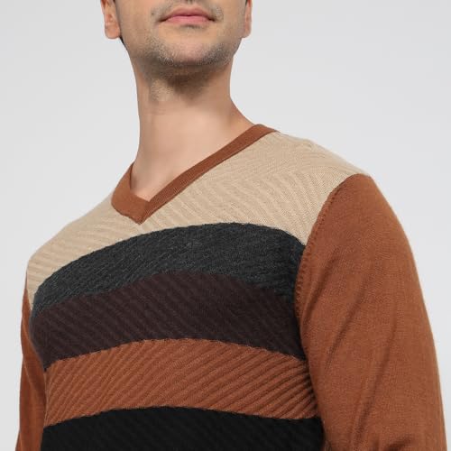 Colorplus Men Regular Fit Jacquard Pattern Merino Wool Acrylic Blend Full Sleeve V Neck Casual Sweater Brown
