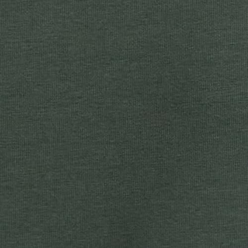 Pepe Jeans Men's Slim Fit T-Shirt (PM509605_Ivy Green