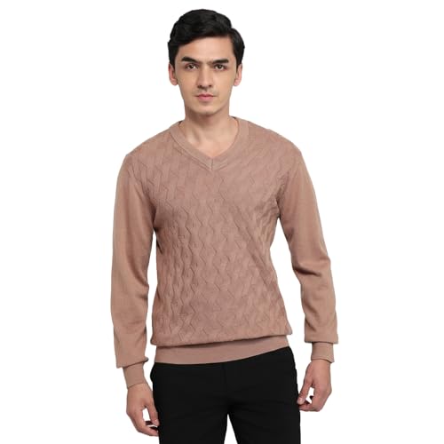 Colorplus Men Regular Fit Solid Pattern Merino Wool Acrylic Blend Full Sleeve V Neck Casual Sweater