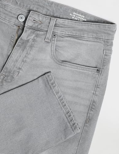 U.S. POLO ASSN. Mens Brandon Slim Tapered Jeans (UDJENO1823_Grey_30)