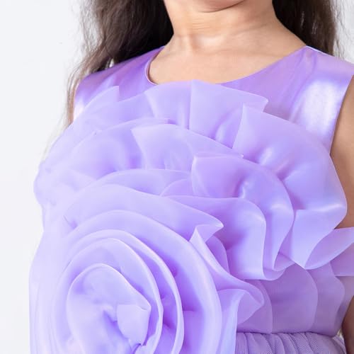 Hopscotch Girls Purple Sleeveless 3D Floral Applique Gown for Age (12-24 Months)