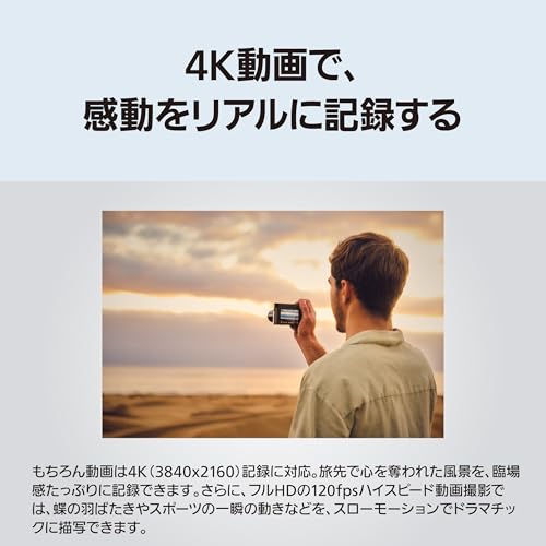 Panasonic LUMIX DC-TX3/DC-ZS300 20.1MP 4K Digital Camera (Silver)