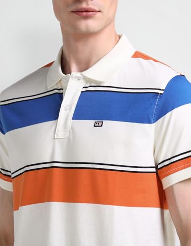 Arrow Sports Men's Striped Regular Fit Polo Shirt (ASAEOTS5297_Multi