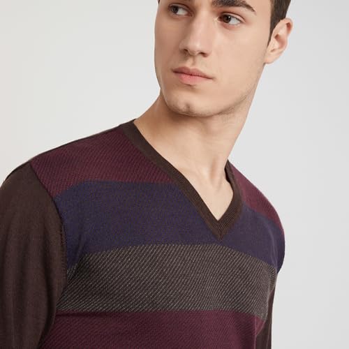 Park Avenue Men's Regular Fit Acrylic Wool Blend Full Sleeve V Neck Stripe Pattern Dark Brown Casual Sweater (Size: M)-PCWA00268-O8