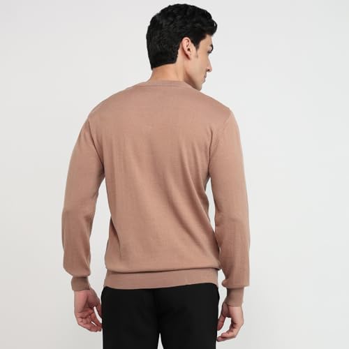 Colorplus Men Regular Fit Solid Pattern Merino Wool Acrylic Blend Full Sleeve V Neck Casual Sweater