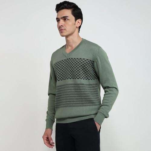 Colorplus Men Regular Fit Jacquard Pattern Merino Wool Acrylic Blend Full Sleeve V Neck Casual Sweater