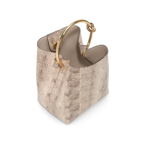 Aldo BIENKA Grey Women's Bucket Bag