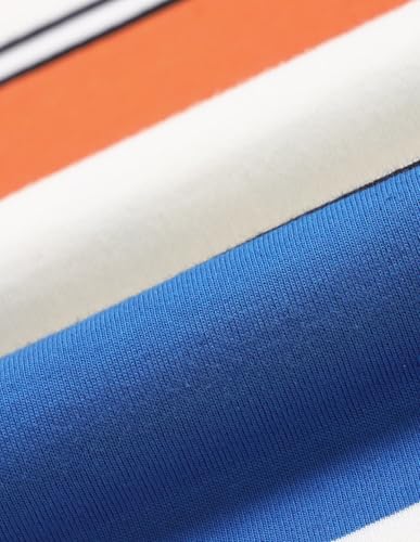 Arrow Sports Men's Striped Regular Fit Polo Shirt (ASAEOTS5297_Multi