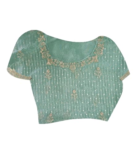 Laxmipati Kesaar Bhog Tissue Organza Floral Embroidered Saree in Pastel Blue Color_N-2953
