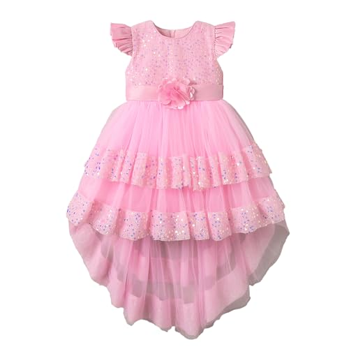 Hopscotch Girls Pink Short Sleeves Sequin Embellished Dress for Age (18-24 Months)