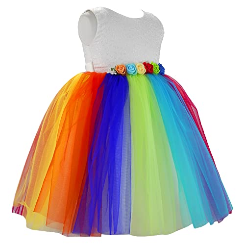 Stanwells Kids Baby Girls Knee Length Birthday Frocks Net Flared Ruffle Pattern Sleeveless Colourful Flower Frock Dress Embroidery Fancy Dress for Girls Birthday Gift for Daughter (Rainbow 5-6 Years)
