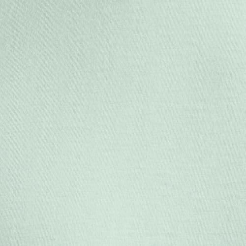 Pepe Jeans Men's Slim Fit T-Shirt (PM509898_Light Green