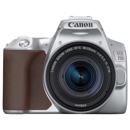 Canon EOS 250D (Rebel SL3) DSLR Camera w/ 18-55mm is STM Lens (Silver) (International Model)
