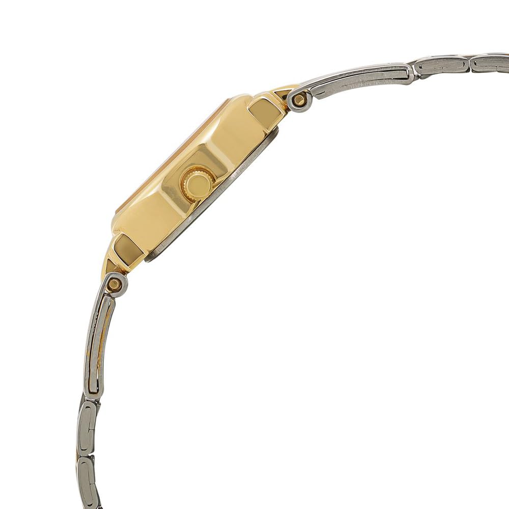 Titan Karishma Revive Analog Silver Dial Women's Watch NM2594BM01 / NL2594BM01