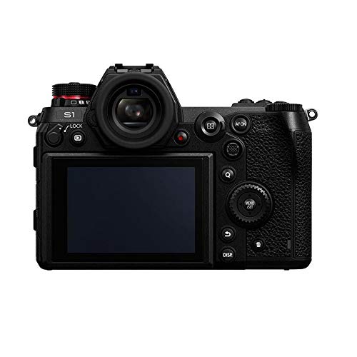 Panasonic Lumix DC-S1 Body
