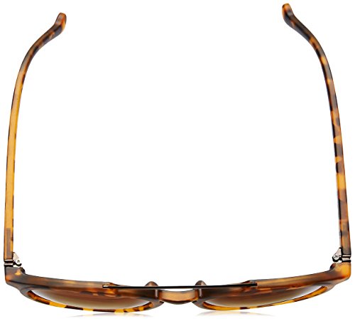 Fastrack Sunglasses |Round Brown |UV protected | Small