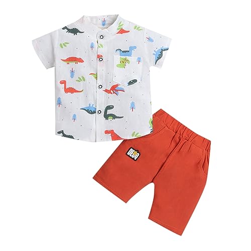 Hopscotch Boys Cotton and Spandex Animal Print Shirt And Shorts Set in White Color For Ages (3-4 Years)