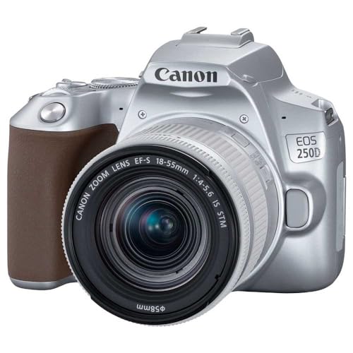 Canon EOS 250D (Rebel SL3) DSLR Camera w/ 18-55mm is STM Lens (Silver) (International Model)