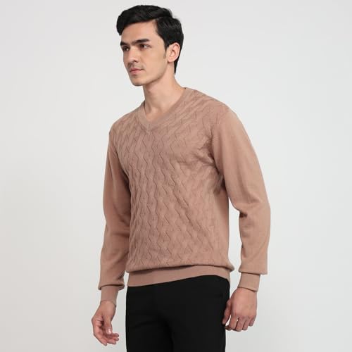 Colorplus Men Regular Fit Solid Pattern Merino Wool Acrylic Blend Full Sleeve V Neck Casual Sweater