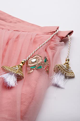 Divine Exim Women's Net Semi Stitched Lehenga Choli with Dupatta | Real Mirror with Embroidery Pattern | Traditional, Wedding, Ethnic Wear Lehenga (Pink)