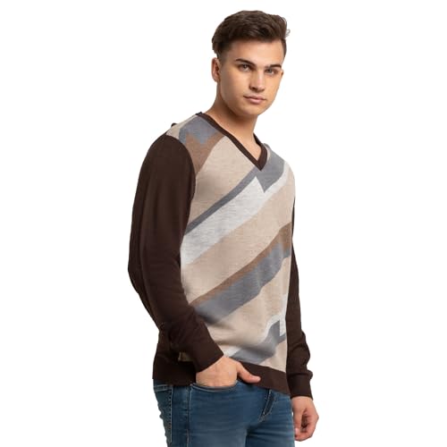 Colorplus Tailored Fit Brown Sweater for Men