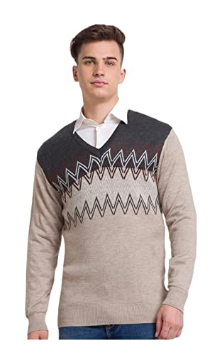 Colorplus Tailored Fit Beige Sweater for Men