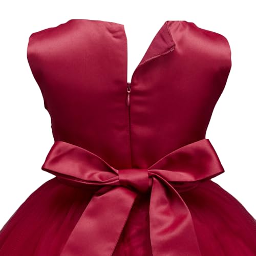 Hopscotch Girls Floral Applique Sleeveless Slim Fit Party Dress in Red Color for Ages 3-4 Years