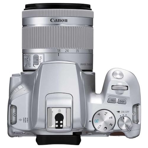 Canon EOS 250D (Rebel SL3) DSLR Camera w/ 18-55mm is STM Lens (Silver) (International Model)