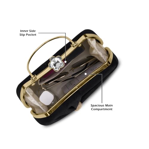 Lavie Women's Sitara Handle Frame Clutch | Ladies Purse | Gift For Women