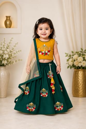 Suzvan Girls Traditional Embroidered Lehenga Choli Dress with Dupatta For baby Girls Dress(8-9 Years)