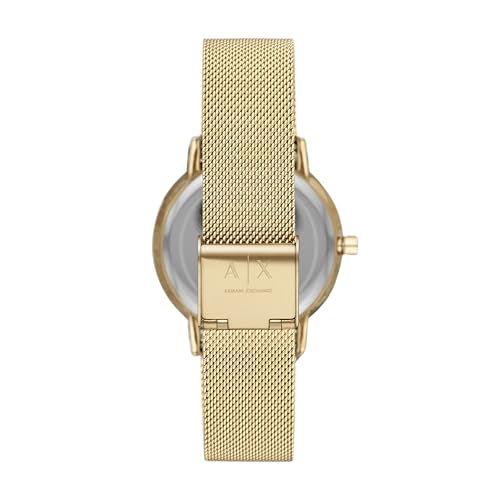 Armani Exchange Womens Lola Off- Stainless Steel Analogue Watch - AX5536 (Off-White_Free Size)