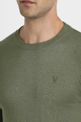 American Eagle Men Green Crew Neck Sweater