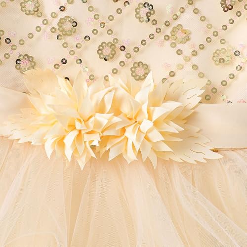 Hopscotch Baby Girls Knee Length Party Dresses in Cream Color For Ages (18-24 Months)