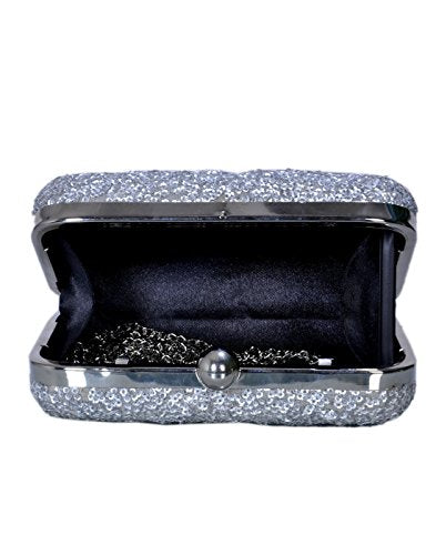DUCHESS Women Silver Box Clutch