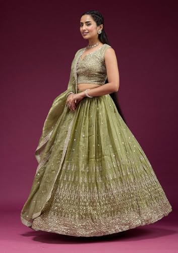 Fab Window Women's Silk Lehenga with Embroidered Unstitched Blouse and Dupatta, Ethnic (Semi Stitched_Free size). (Olive Green)