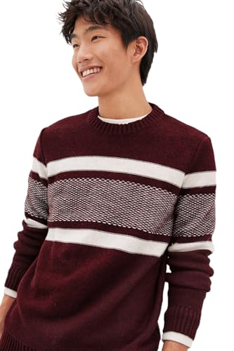 American Eagle Men Burgundy Super Soft Striped Crew Neck Sweater