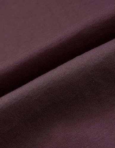 Arrow New York Men's Regular Fit T-Shirt (ANAJTS3123_Purple