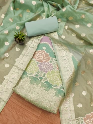 SHANTVAN GALLERY Banarasi Organza Cut Paste Suit Set with Silk Jacquard Dupatta, Heavy American Crape Bottom, 2.5 Meter, (Green)