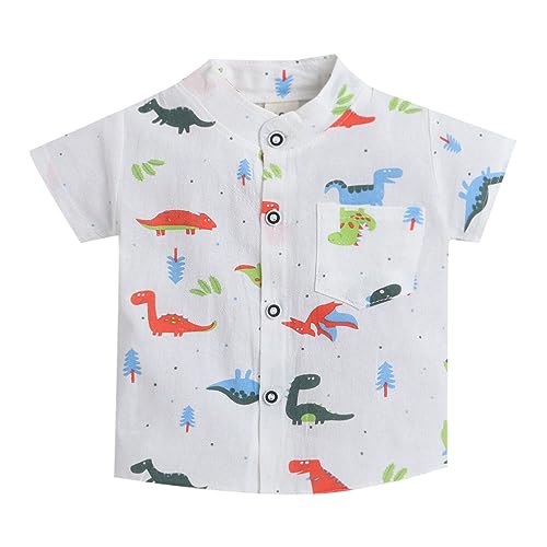 Hopscotch Boys Cotton and Spandex Animal Print Shirt And Shorts Set in White Color For Ages (3-4 Years)