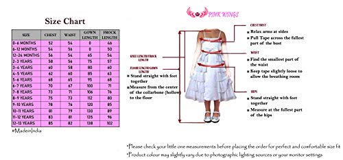 PINK WINGS Baby Girl Net tulle Knee Length Tutu Frock With Headband (6-12 MONTHS, BABY PINK)