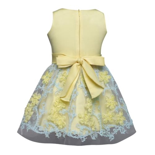 Hopscotch Girls Yellow Sleeveless Floral Applique Party Knee-Length Dress For 70(3-6 Months) (Srs-1868932)