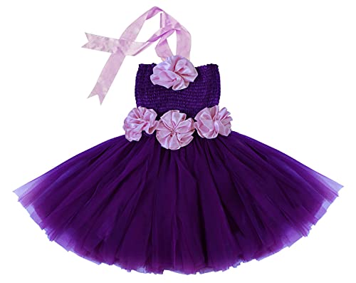 PINK WINGS Baby Girl Knee Length Satin-Net Tutu Dress (5-6 Years, Purple)