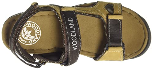 Woodland mens Ogdc 3706120 CAMEL Sport Sandal - 7 UK (41 EU) (OGDC 3706120)