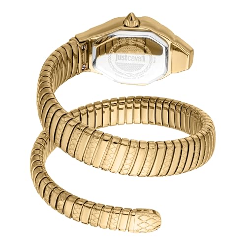 Just Cavalli Aria Analogue Women Watch JC1L369M0035