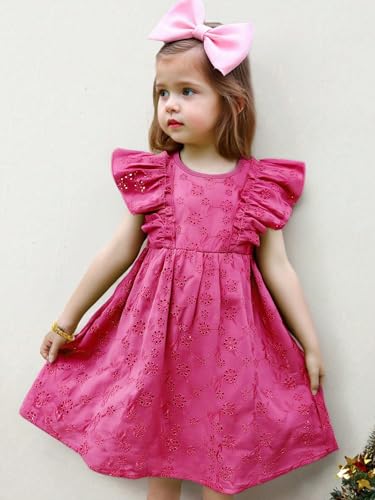 Tagas Girls' Dress |Girls’ Embroidered Ruffle Sleeve Dress |Dresses birthdaydress for Babygirls |